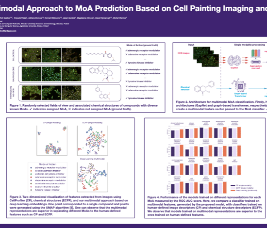 Multimodal Approach to MoA Prediction Based on Cell Painting Imaging and Chemical Structure Data