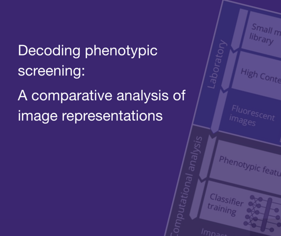 Decoding phenotypic screening: A comparative analysis of image representations