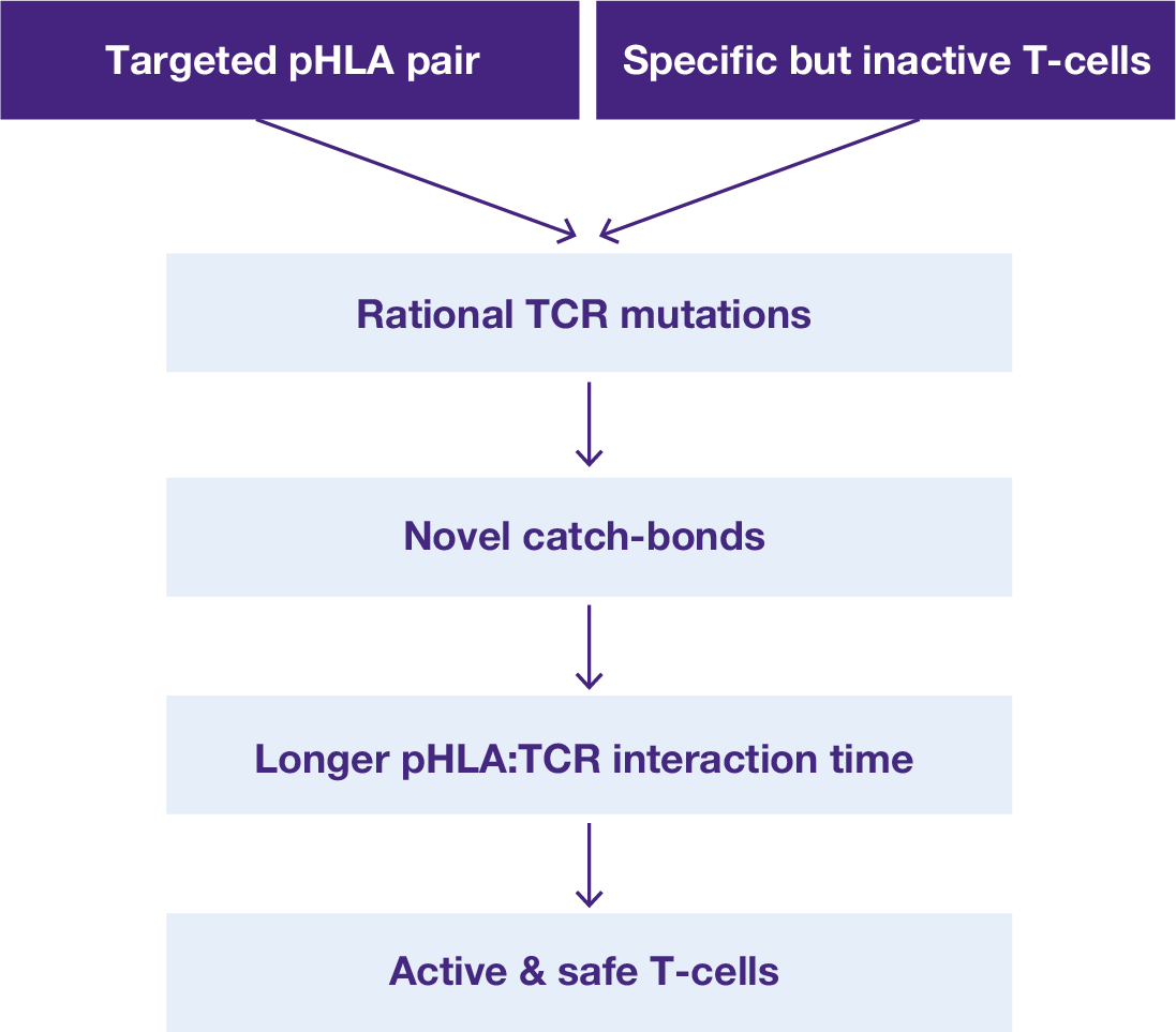 TCR suite_grafiki-16